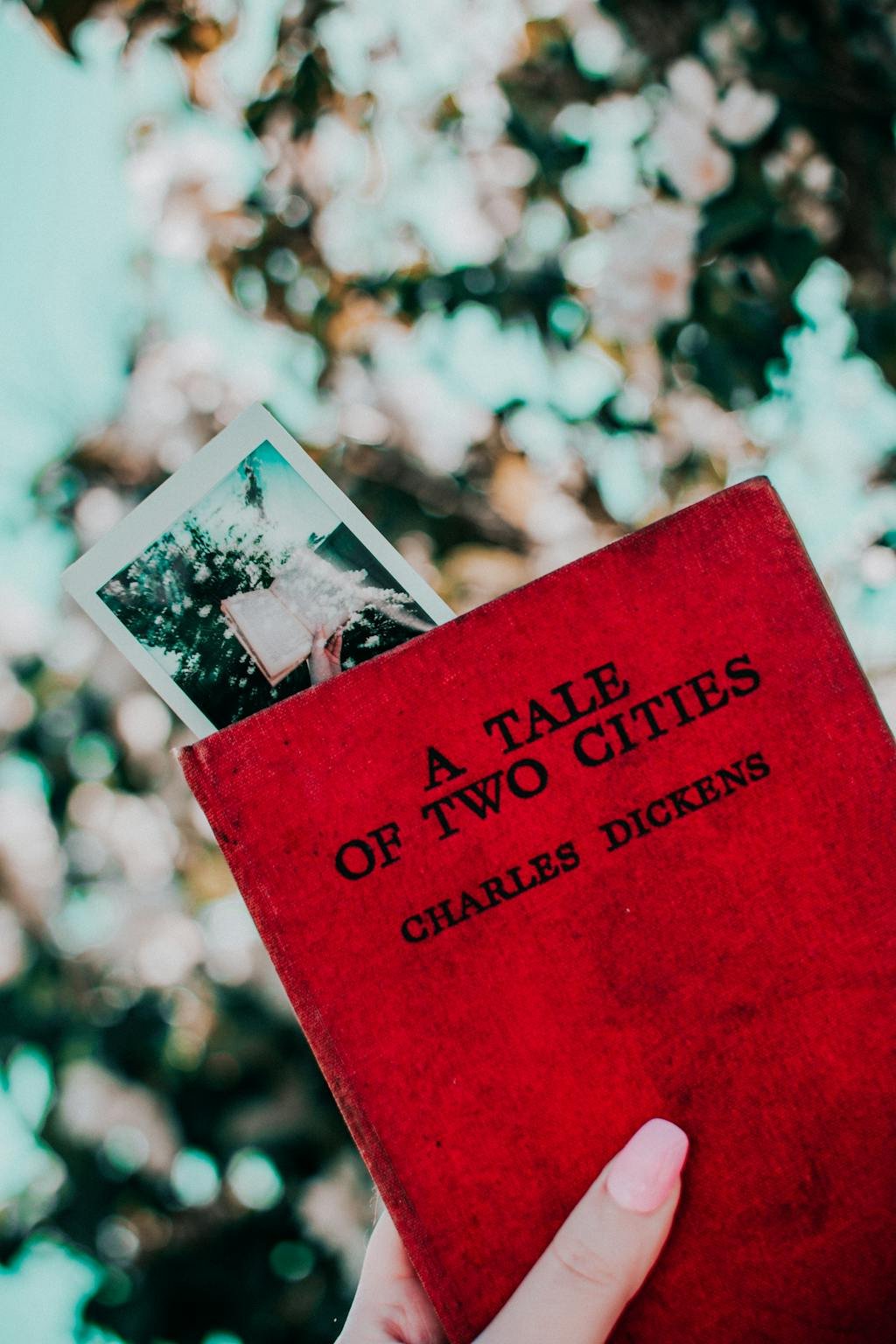 A red book with a Polaroid serves as a bookmark, set against a bokeh outdoor background.