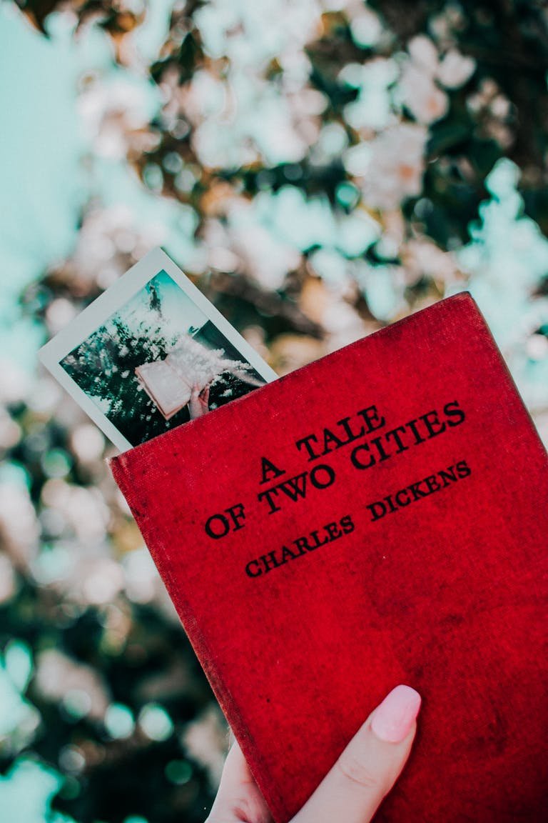 A red book with a Polaroid serves as a bookmark, set against a bokeh outdoor background.