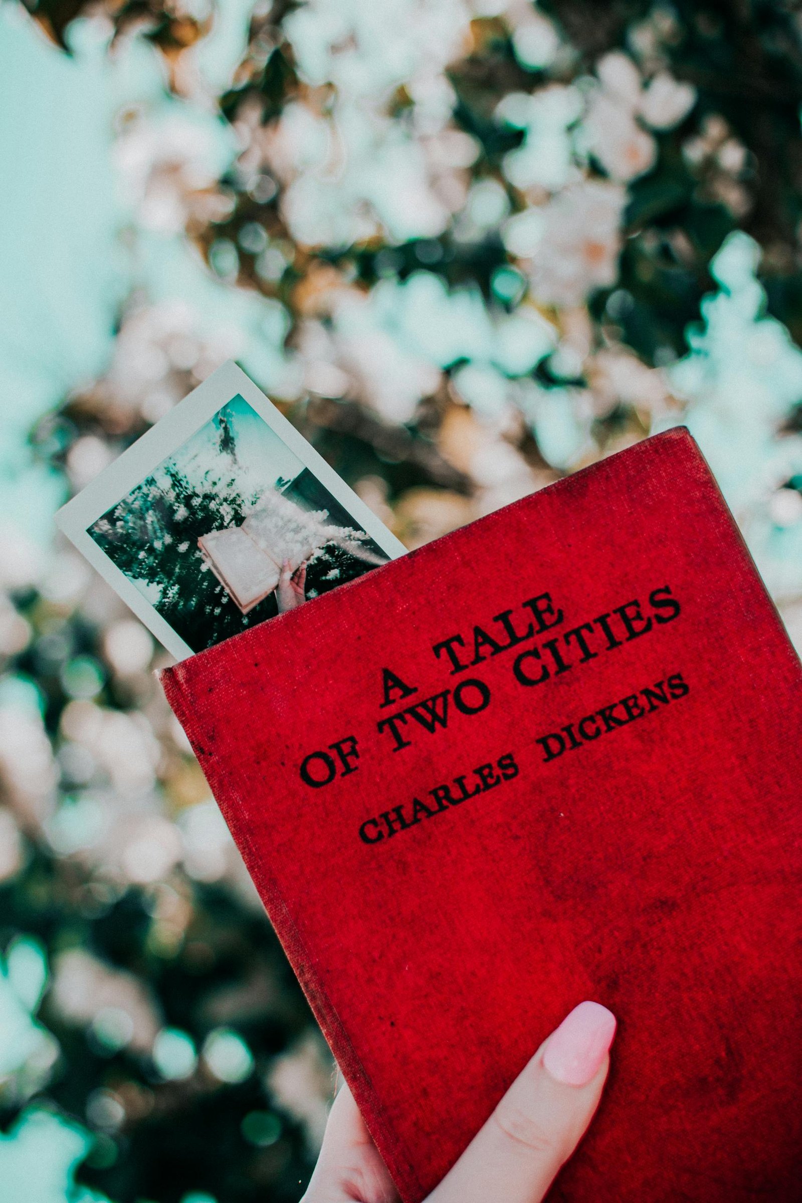 A red book with a Polaroid serves as a bookmark, set against a bokeh outdoor background.