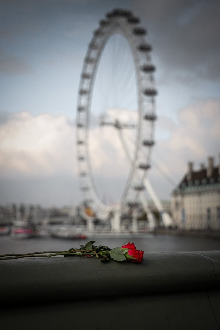 A red rose placed on a riverbank railing with the iconic London Eye in the background, creating a romantic scene.